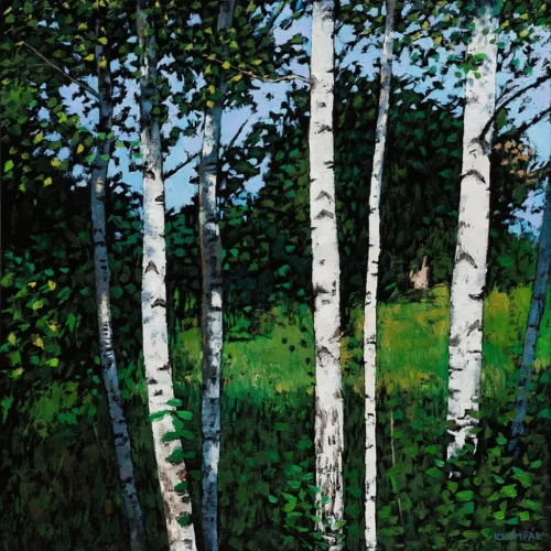 Birches - Marek Krumpár