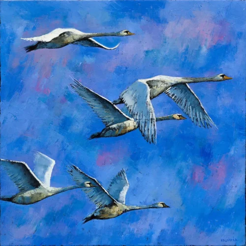 Flying Swans - Marek Krumpár