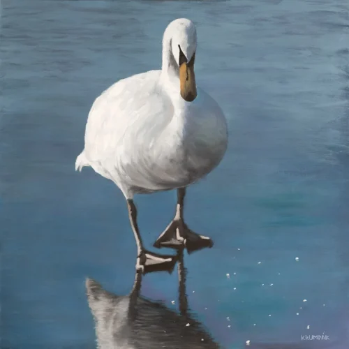 Swan - Marek Krumpár